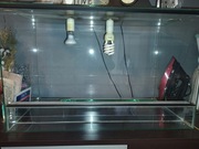 Sprzedam terrarium 80/50/40