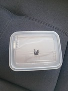 SIATKA DO WANIENKA fotelik kąpielowy leżaczek do kąpieli Keeeper