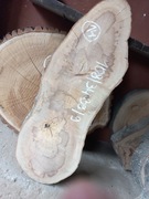 Plaster Drewna BUK 108/34-39/9 cm Blat Stolik Żywica DIY Wysuszony