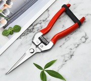 Sekator Nożyce Ogrodowy Ręczny Do Kwiatów Krzewów Róż Ostry