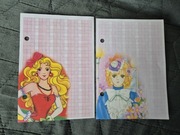 A6 małe karteczki kolekcjonerskie do segregatora 