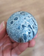 Skamieniały korzeń palmy **** kula 181g 52mm Indonezja