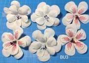 SCRAPKI KRAKÓW KWIATY z bawełny 6 szt. duże PIĘKNE!