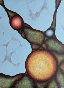 T. Kawala - obraz akrylowy 55x75cm 