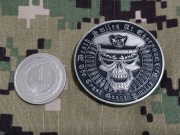 Challenge coin United States Coast Guard czaszka