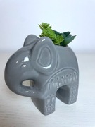 Ceramiczna doniczka SŁOŃ ze sztucznymi roślinkami 13 cm wys.