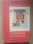 Czekanie na Mesjasza, Jan Grosfeld