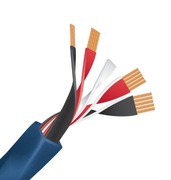 Kabel głośnikowy WIREWORLD Oasis 8, 1m