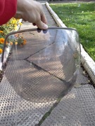 Honda Transalp 600 szyba owiewka XL600V