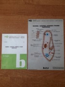 Budowa i niektóre czynności pantofelka - fazogramy