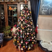 CHoinka i ozdoby świąteczne