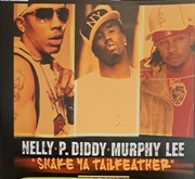 Nelly,P.Diddy,Murphy Lee - Shake ya tailfeather