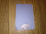 Karteczki do segregatora kartka z notesu albumu Kot na niebieskim tle