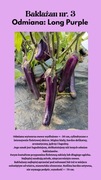 Nasiona Bakłżanów Long Purple 