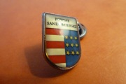 Sandomierz Powiat Herb pin przypinka 