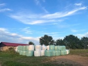 Bela / Sianokiszonką 