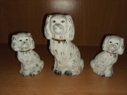 Psy porcelanowe " TERRA ".