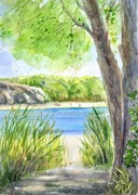 W cieniu drzew nad rzeką. 30x42cm original Akwarela