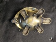 Szkatułka żółw,piękna 