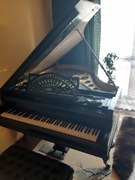 Fortepian Erste produktiv-genossenschaft 