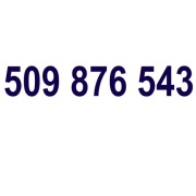 Złoty Numer 509 876 543