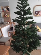Choinka 2 metry 