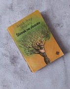 Ślimak na zboczu Arkadij Strugacki, Borys Strugacki