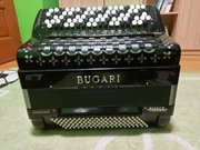Bugari Champion Cassotto BANGER Exclusive – guzikowy, 5-chórowy,120 basowy