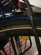 Rower damski gazelle eclipse comfort