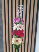 Palma kurpiowska krokusy