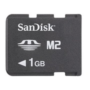 Karta SanDisk M2 1GB