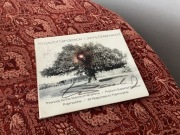 Krzysztof Penderecki / Jonny Greenwood – Threnody for... z 2 AUTOGRAFAMI!