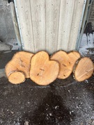 Plastry drewna na stolik lipa sosna śliwka orzech