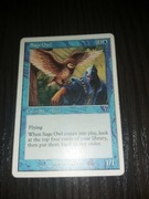 Karta Sage Owl. Magic The Gathering 