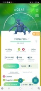 Pokemon go Heracross