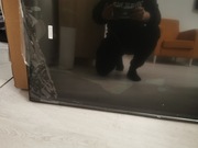 Telewizor TCL 55 CALI LED 