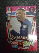 Karta Piłkarska PaNINI