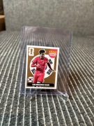 Panini FIFA world cup 2026 Heung min son extra bronze sticker