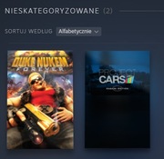 Duke Nukem Forever PC