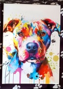 Amstaff Pitbull Obraz Canvas Na Płótnie i Ramie