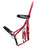 Kantaro ogłowie biothane 