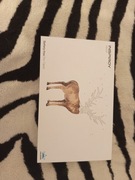 Tablet Graficzny HUION H640P