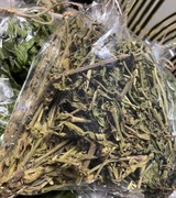 Lepnica biała - ziele suszone, całe