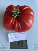 Pomidor Brutus Cuore Di Bue nasiona kolekcjonerskie