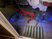 Woom 5 - rower dziecięcy 