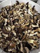 Suszone podgrzybki . Zbiór 2025