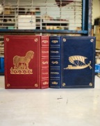 Iliada i Odyseja Homer 