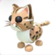 Leopard Cat - Adopt Me Roblox