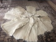 Nutria skóra garbowana 