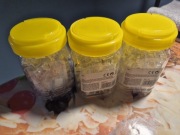 Złączka komputerowa RJ45 Męskie 100 szt. PUD.